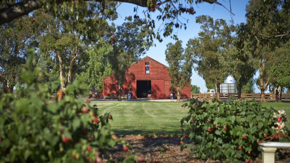 Moira Station, The Murray